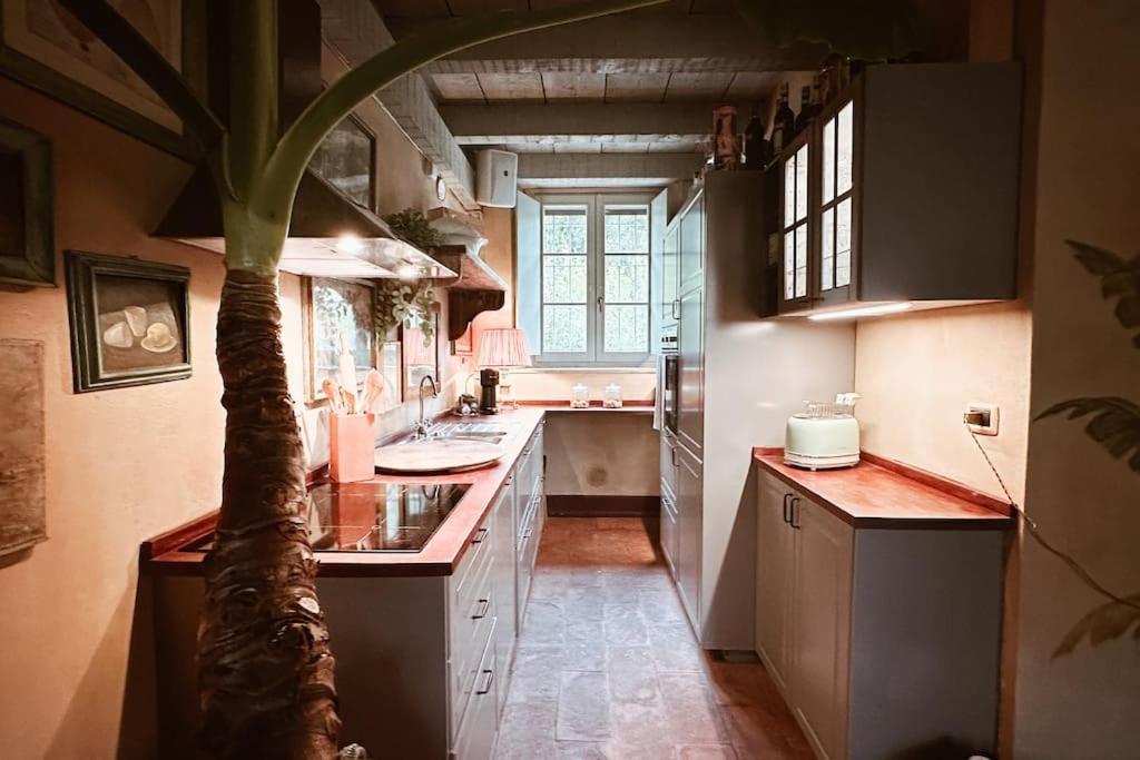 Appartement Con Giardino Privato E Sauna *